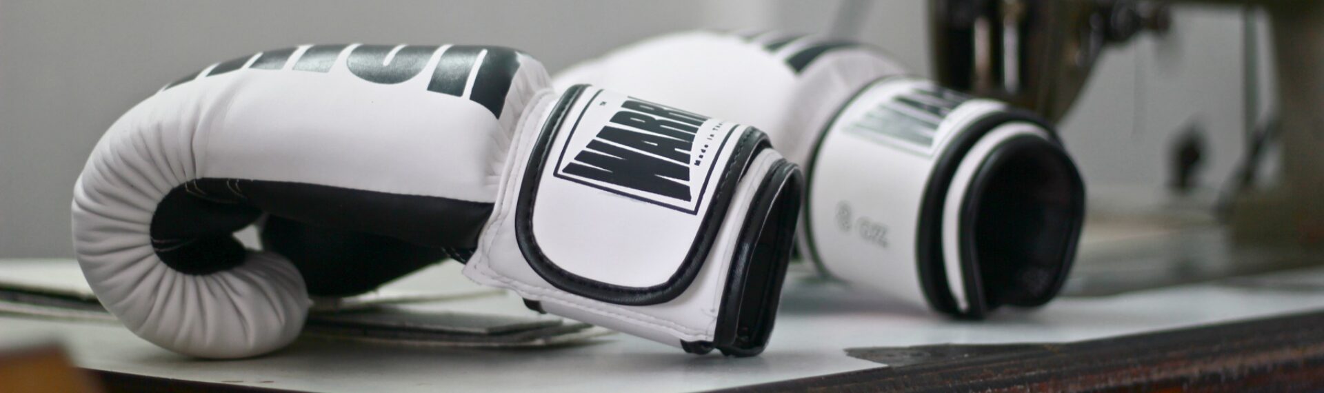 Muay Thai Warrior